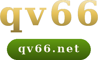 qv66 logo